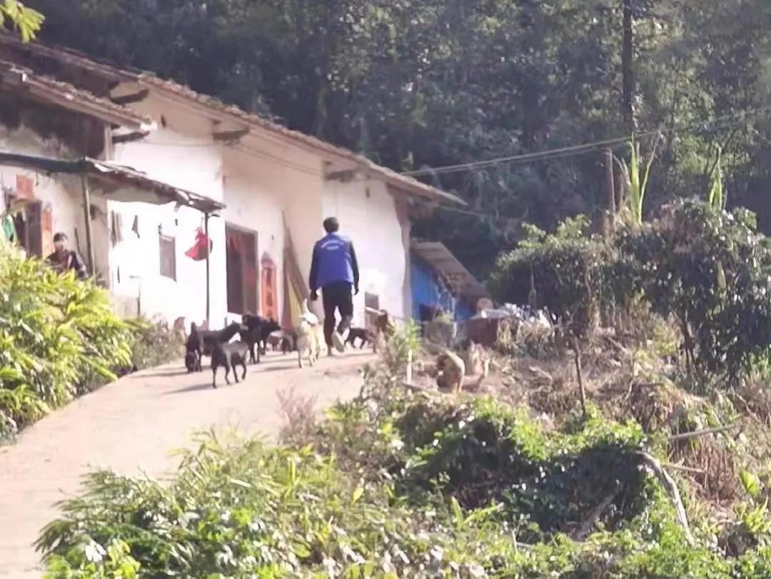 阳春房地一体项目纪实丨无悔青春多砥砺，最是奋斗动人心