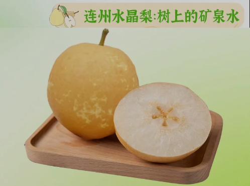 “桃李”炎暑，清冷一夏