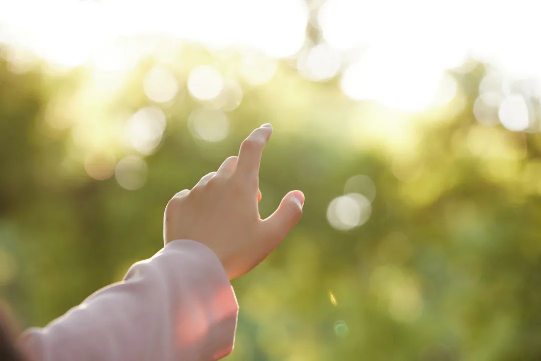员工随笔丨喂，中年少女！