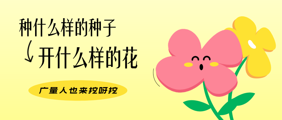 量圈儿NO.104丨广量人的幼幼花圃，挖到宝了！