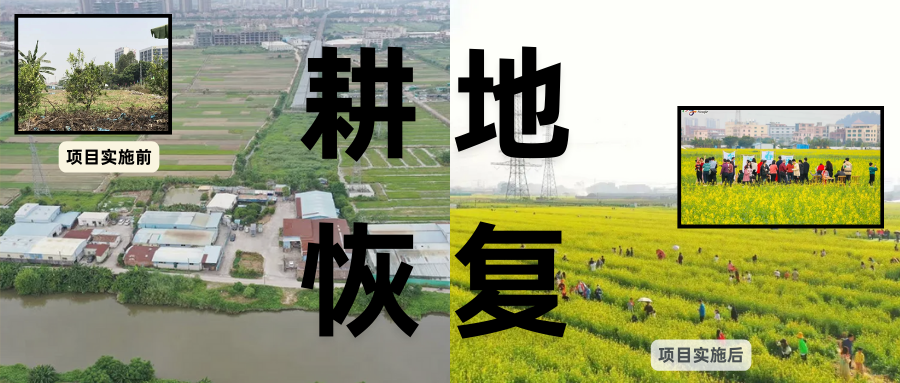 耕地；び刖梅⒄构踩凇褐惺泻窠终蛩谏缜读继锵钅扛馗丛氤窍缛诤系拇葱率导