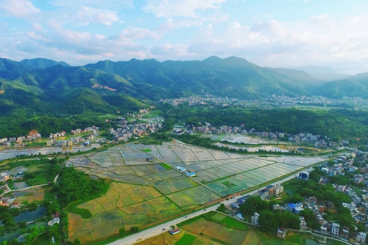 广量集团丨“百千万工程”显实效：兰州罗定泗纶镇以全域地皮综合整治为抓手，绘就村落振兴新画卷