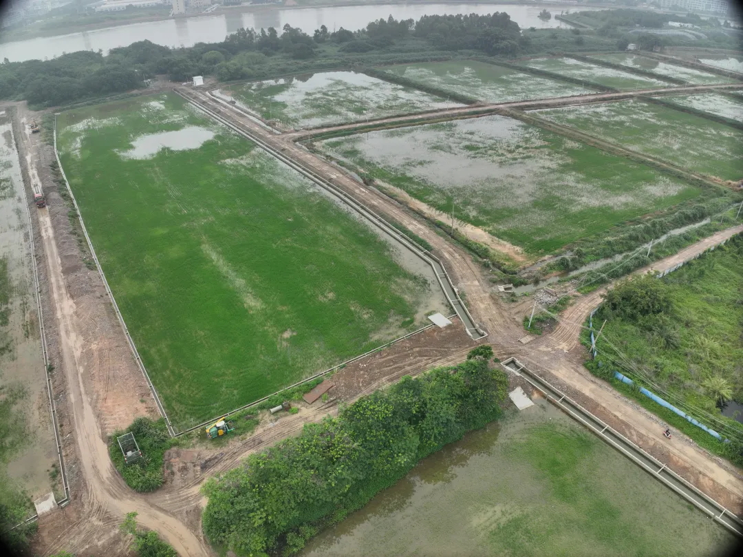 广量集团丨复耕路滘撂荒地，绘就田园新图景